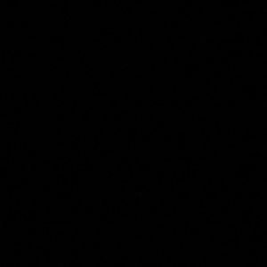 Meet your Posher, Janely